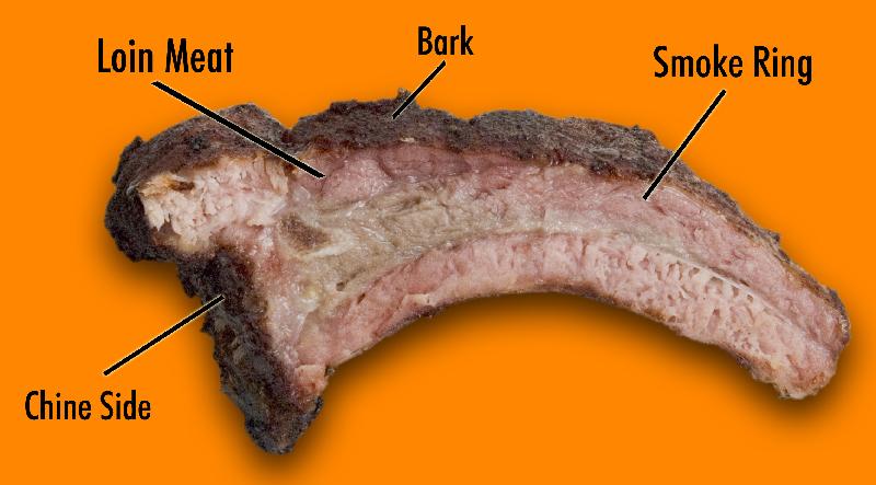 anatomy of a rib