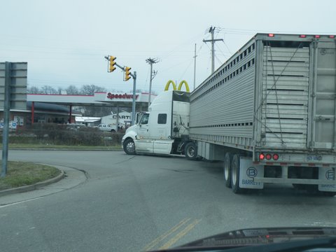 Canadian truck leaving Sugarcreek lon 4/2/11 loaded with horses