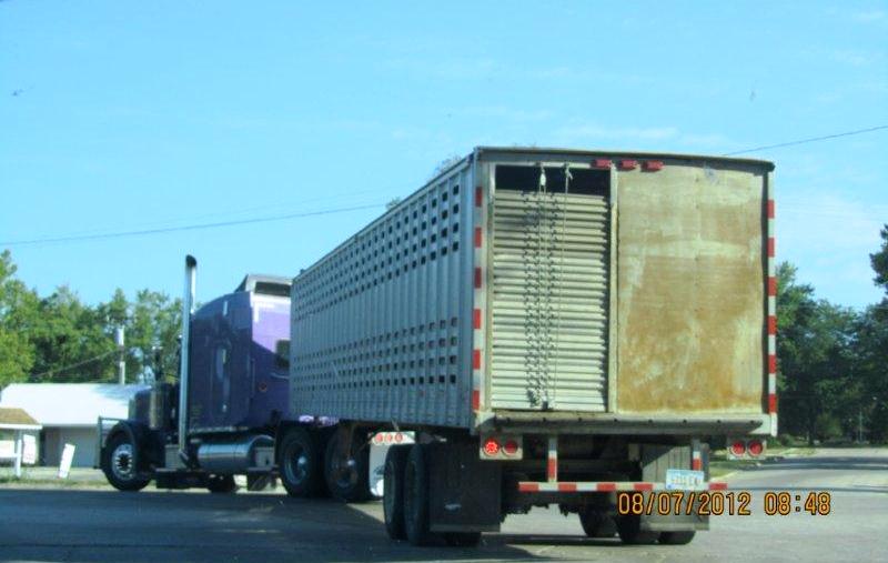 4 G Trucking loaded with horses