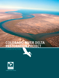 Delta Plan of Action Cover 2011