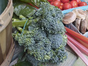 Broccolini in CSA basket 