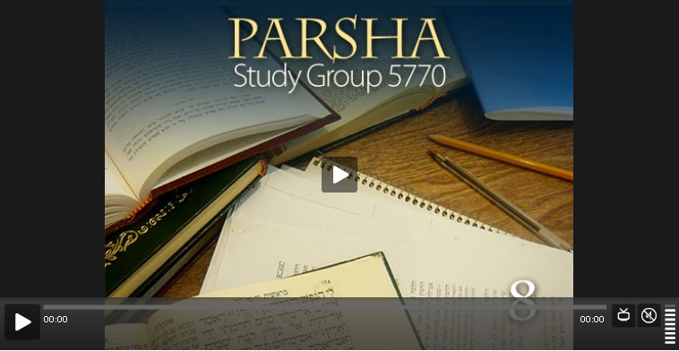 parsha study group