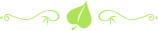 divider leaf