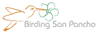 San Pancho Birding Logo