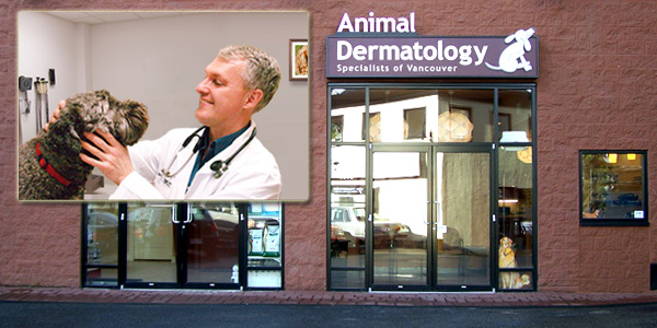 Animal Dermatology Sign