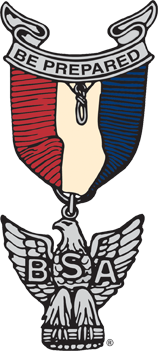 Eagle Medal (no background)