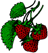 strawberry001