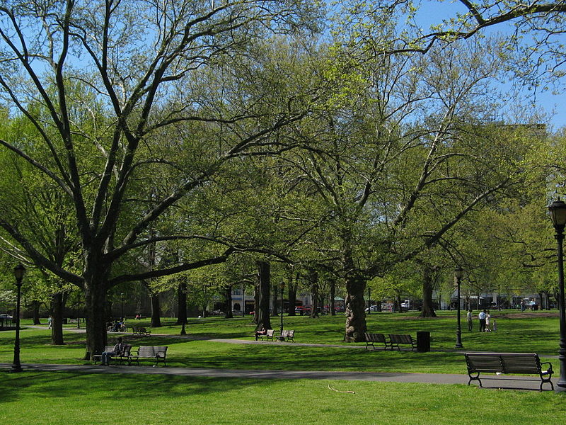 New Haven Green