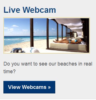 Real Webcam