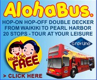 Aloha Bus