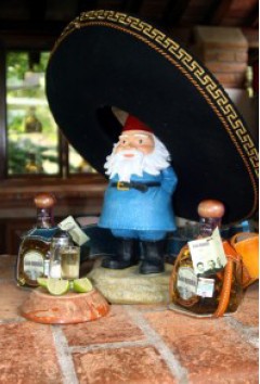 Travelocity Gnome with Tequila
