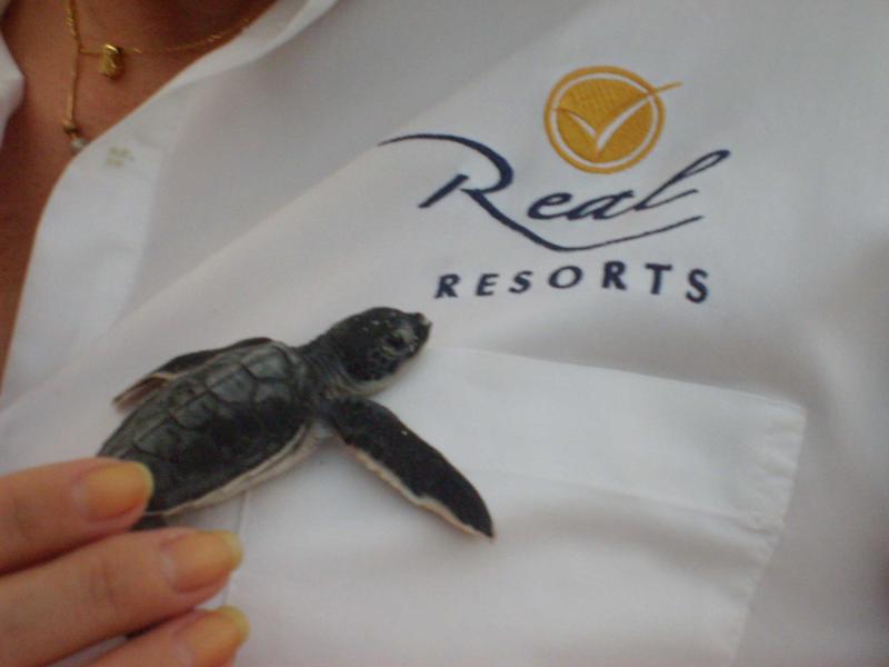 Turtle Real Resorts
