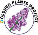 Cloned Plant Project Logo