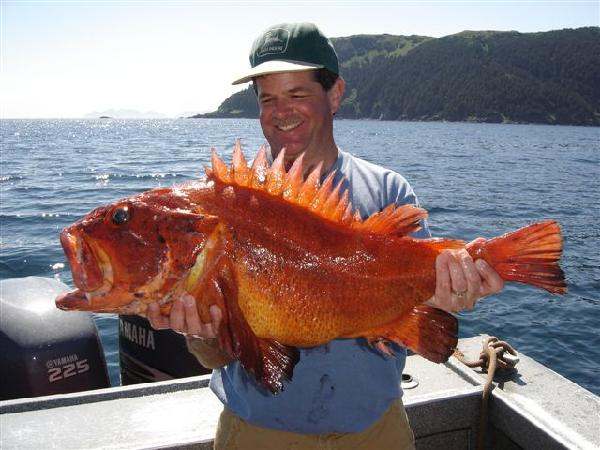 Jon Mayer with a red snapper thathe caught