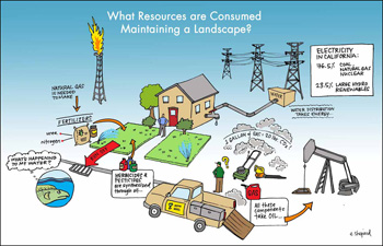 resources and consumption