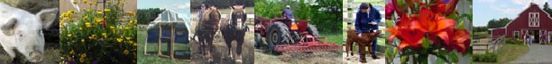 images of farming activities