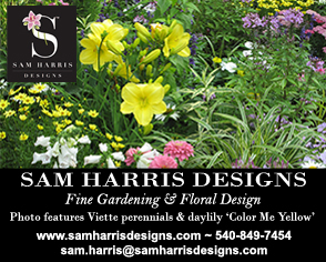 Sam Harris Designs