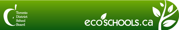 ecoschool banner