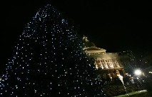 Holiday Tree at State House