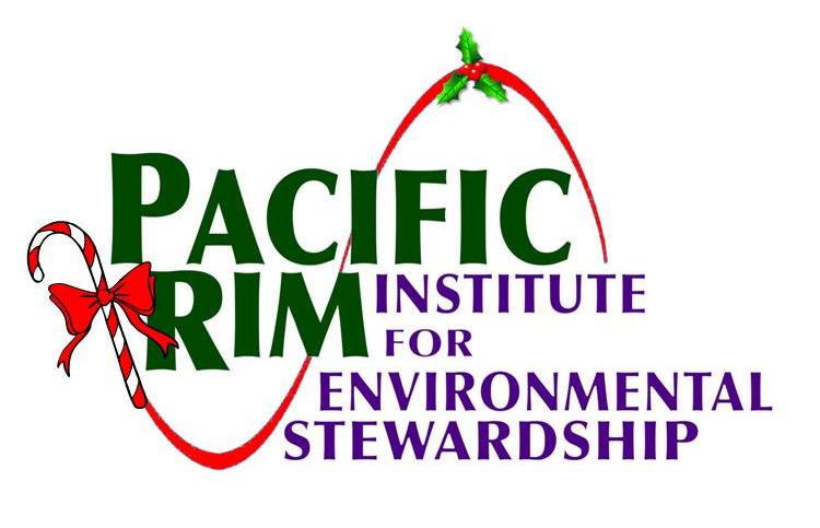 2011 Christmas Logo