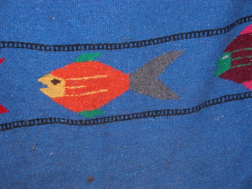 fish blanket