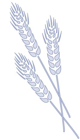 Shavuos in 60 Minutes