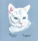 Cat portrait by Trudie Barreras