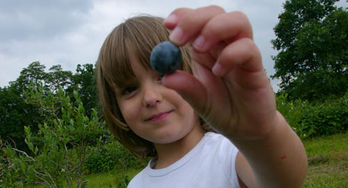 child with blueberry