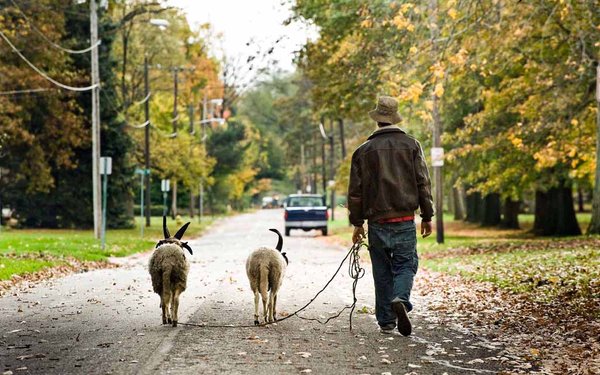 Sheep mowers by Randy Harris for NYT