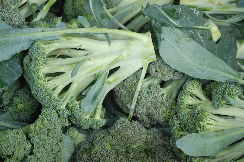 Broccoli Chris Blair