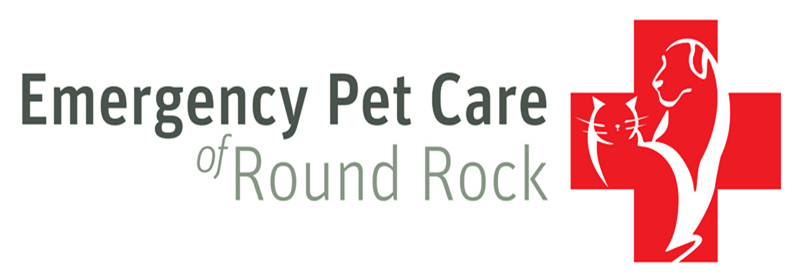 Emergency Pet Care