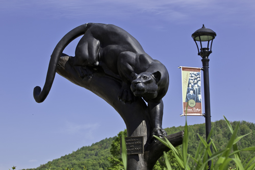 Panther outside Franklin Hall
