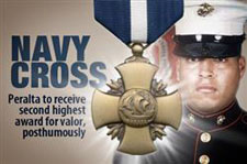 Navy Cross Article