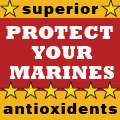 Market America: Protect Your Marines with Powerful Antioxidents