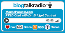Blog Talk Radio PTSD Chat with Dr. Bridget Cantrell