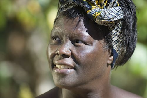 Wangari Maathai Photo