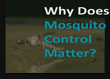 Mosquito Control Matters video