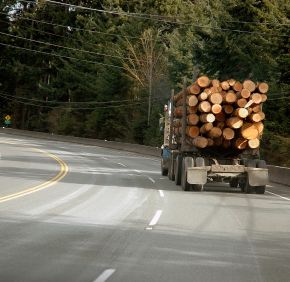 Truck Hauling Timber