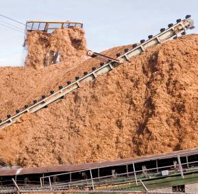 Wood Chips and Conveyor