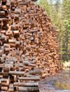Northwest log stack
