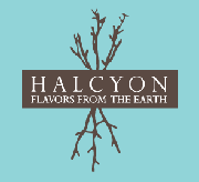 Halcyon logo