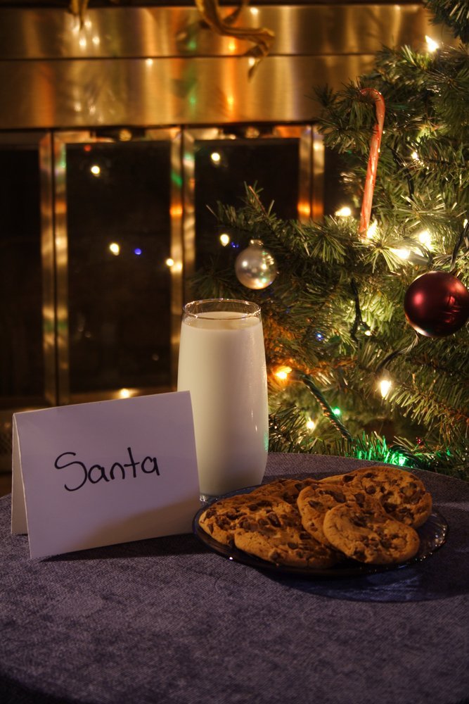 Santa Milk and Cookies