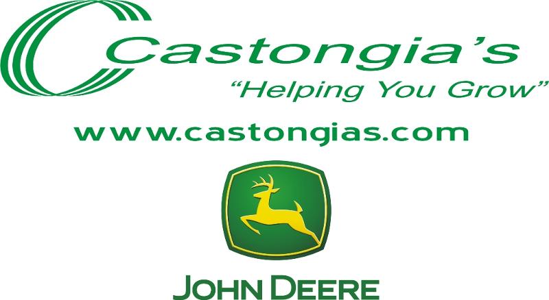 Castongia's