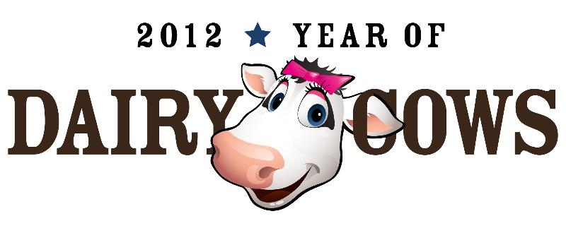Year of Dairy Cows