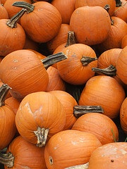 pumpkin_small