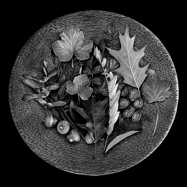 Plate of Leaves