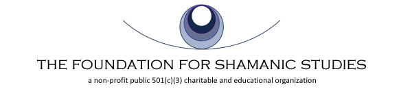 FSS Logo Header