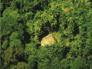 Aerial view of hut