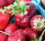 strawberries for festival