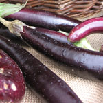 eggplants from winter green farm